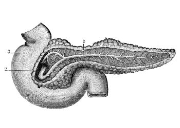 Πρώιμη διάγνωση για τον καρκίνο του παγκρέατος