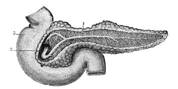 Πρώιμη διάγνωση για τον καρκίνο του παγκρέατος