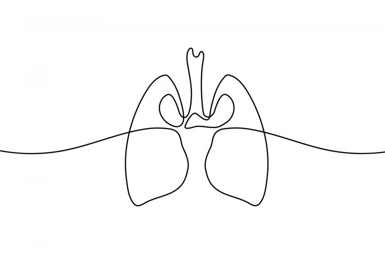 Αντικαπνιστική εκπαίδευση
