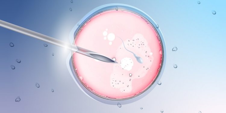 εξωσωματική γονιμοποίηση