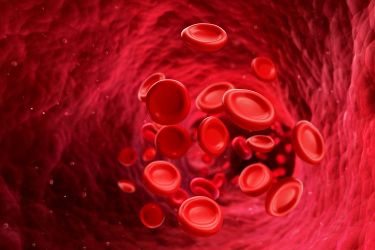 Ξεχώρισαν οι Έλληνες Επιστήμονες στο 66Ο Αμερικανικό Συνέδριο αιματολογίας