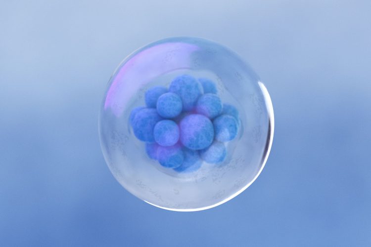 Βλαστοκυτταρική θεραπεία