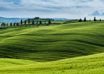 Αόρατα σπίτια