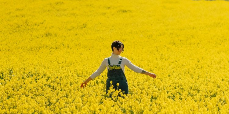 Η επιστήμη της ευτυχίας