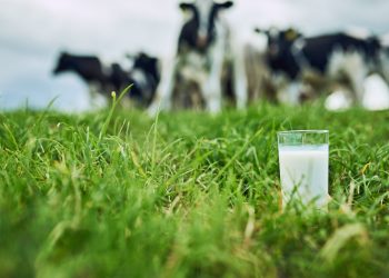 Γαλακτοκομικά light