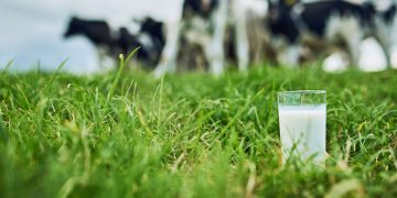 Γαλακτοκομικά light