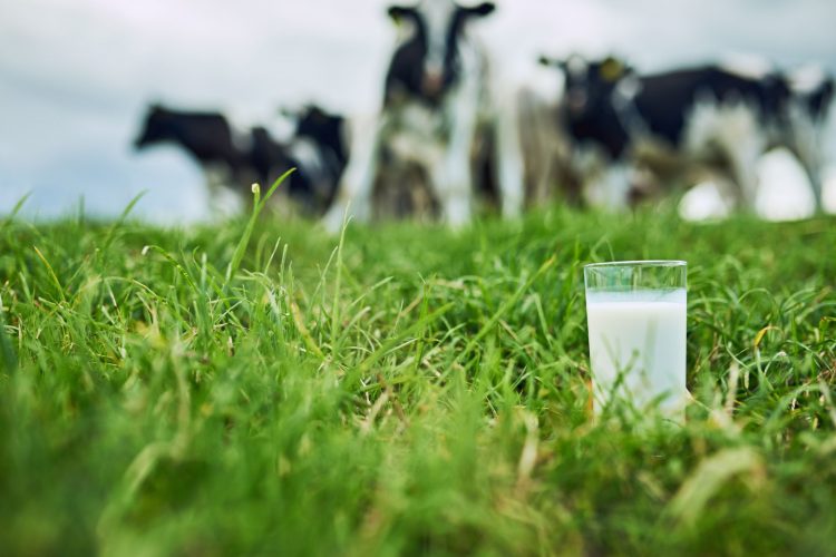 Γαλακτοκομικά light