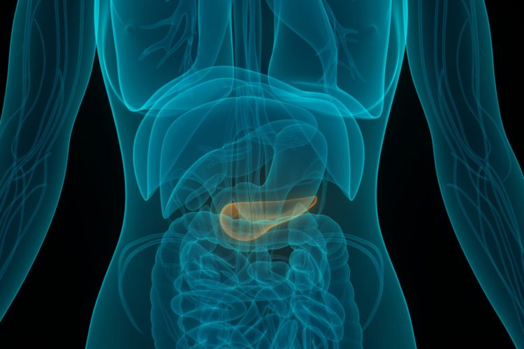 Καρκίνος του παγκρέατος