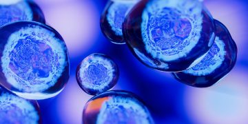 Νέα θεραπευτική αγωγή για τον μικροκυτταρικό καρκίνο του πνεύμονα