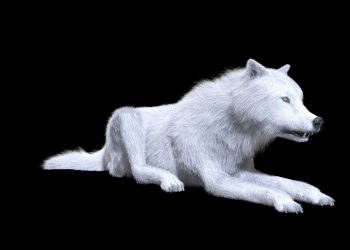 Αναστήθηκαν οι τρομεροί λύκοι