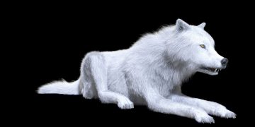 Αναστήθηκαν οι τρομεροί λύκοι