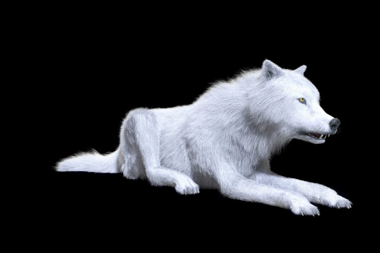 Αναστήθηκαν οι τρομεροί λύκοι