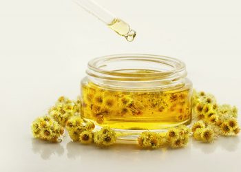 Ελίχρυσος: Το φυτό της αιώνιας Νιότης και ο θρύλος με την Ωραία Ελένη