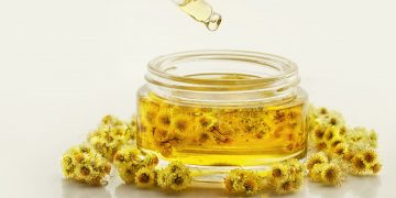 Ελίχρυσος: Το φυτό της αιώνιας Νιότης και ο θρύλος με την Ωραία Ελένη