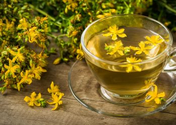 Σπαθόχορτο ή βαλσαμόχορτο