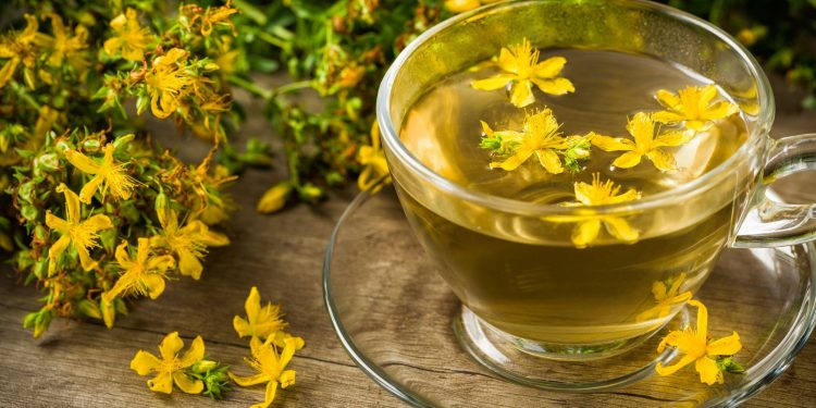 Σπαθόχορτο ή βαλσαμόχορτο