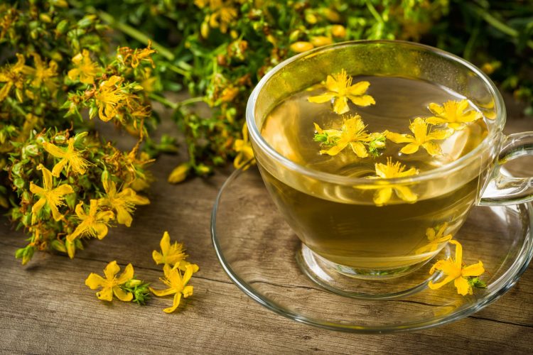 Σπαθόχορτο ή βαλσαμόχορτο