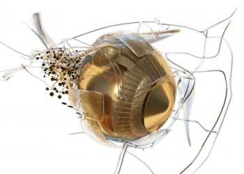 Ερρίκος Ντυνάν: Στις 19 Μαΐου τα εγκαίνια της έκθεσης Phytobiosomes του Costas Picadas