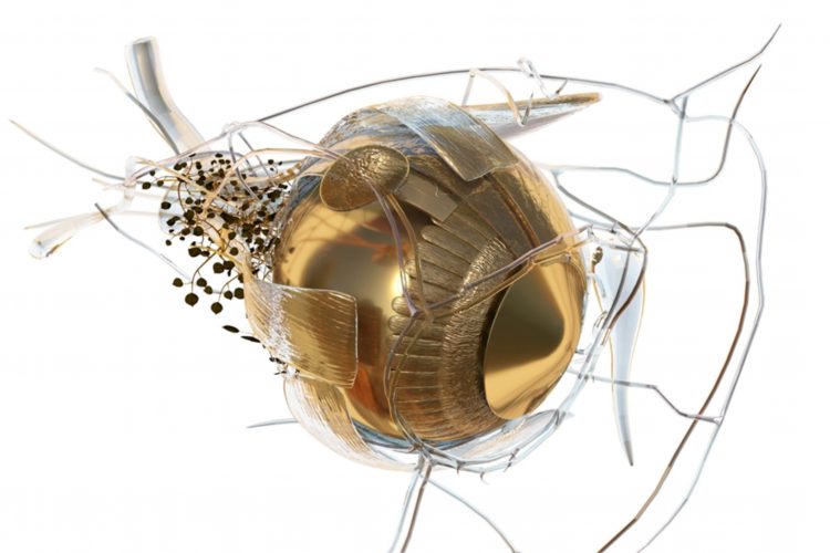 Ερρίκος Ντυνάν: Στις 19 Μαΐου τα εγκαίνια της έκθεσης Phytobiosomes του Costas Picadas