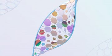 Νέες μελέτες για γονίδιο που καθορίζει τη διάρκεια του ύπνου