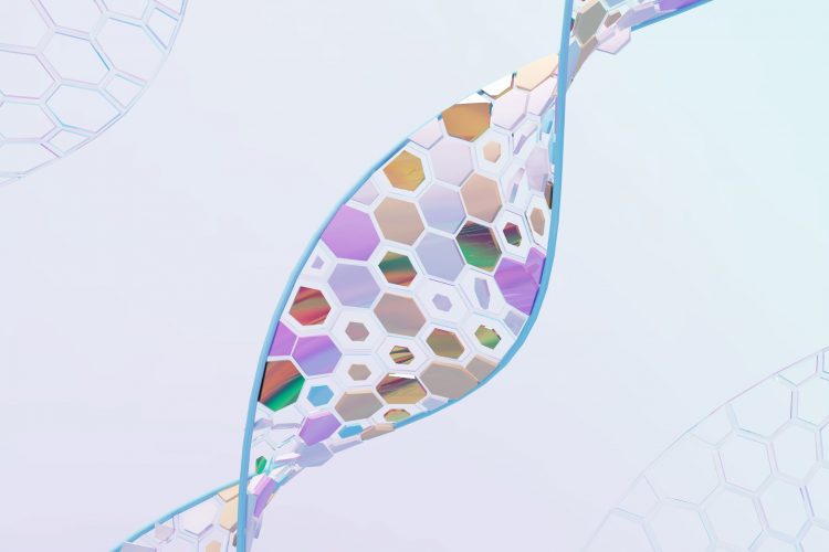 Νέες μελέτες για γονίδιο που καθορίζει τη διάρκεια του ύπνου