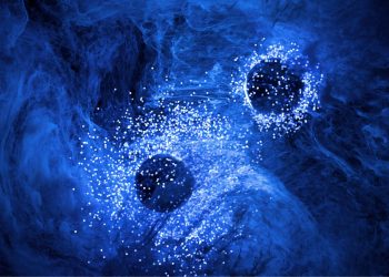 Η λάμψη σβήνει όταν οι οργανισμοί πεθαίνουν 