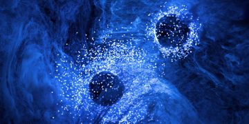 Η λάμψη σβήνει όταν οι οργανισμοί πεθαίνουν 