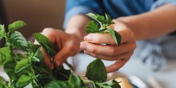 Η μαγεία των βοτάνων και πώς να τα χρησιμοποιήσετε