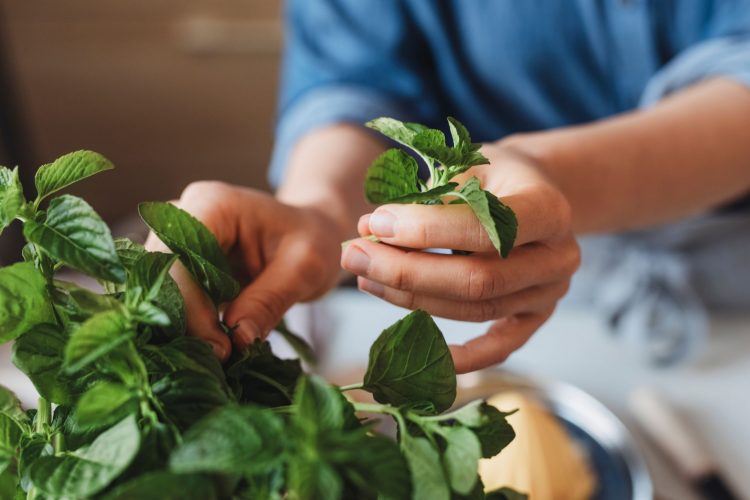Η μαγεία των βοτάνων και πώς να τα χρησιμοποιήσετε