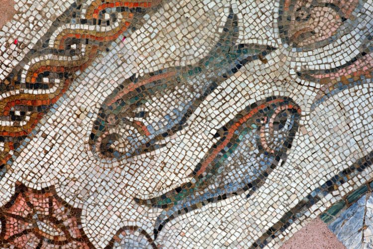 Οι Αρχαίοι Έλληνες και οι Ρωμαίοι θεωρούσαν την διατροφή ως παράγοντα ή υγείας ή αρρώστιας