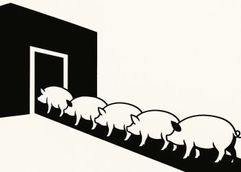 Οι περικοπές στην υγεία της κυβέρνησης Τραμπ, οδηγούν σε θανάτωση χιλιάδων ζώων.