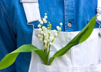Πρωτομαγιά
