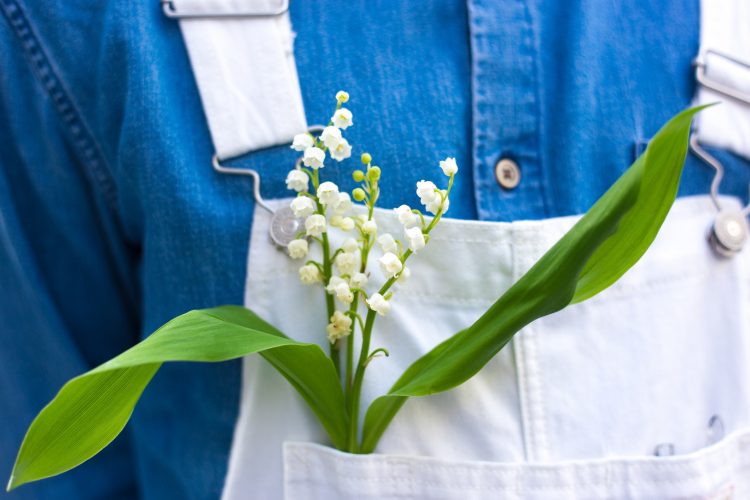 Πρωτομαγιά