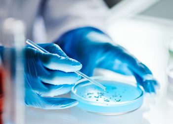 Το επικίνδυνο βακτήριο που αντιστέκεται στα φάρμακα και το νέο υπερ-αντιβιοτικό  που δίνει ελπίδα