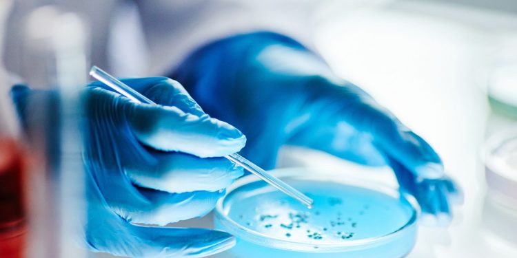 Το επικίνδυνο βακτήριο που αντιστέκεται στα φάρμακα και το νέο υπερ-αντιβιοτικό  που δίνει ελπίδα