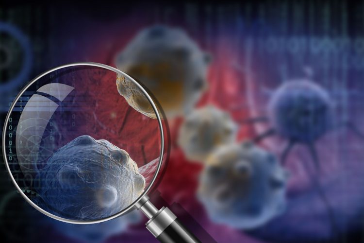 «Από την Κατάρα των Φαραώ στην Ελπίδα για Ζωή: Ο Μύκητας Aspergillus flavus Ενάντια στον Καρκίνο»