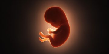 Ημερίδα αφιερωμένη στην Παγκόσμια Ημέρα Γονιμότητας