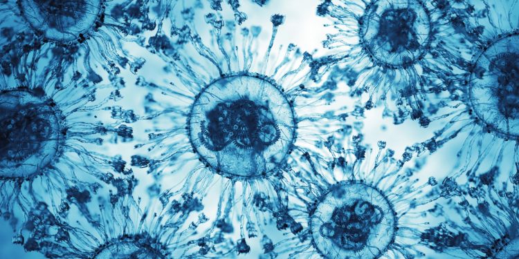 8χρονο παιδί με σπάνια, θανατηφόρα ασθένεια δείχνει εξαιρετική βελτίωση στην πειραματική θεραπεία