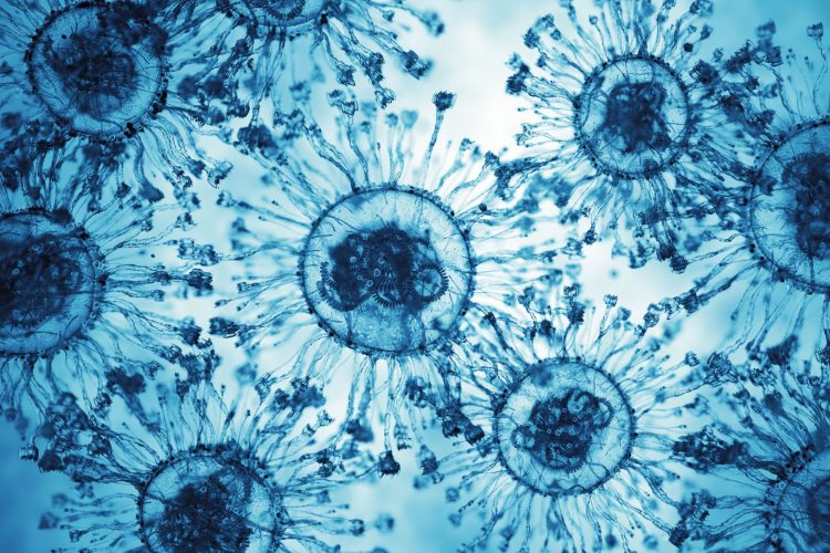 8χρονο παιδί με σπάνια, θανατηφόρα ασθένεια δείχνει εξαιρετική βελτίωση στην πειραματική θεραπεία