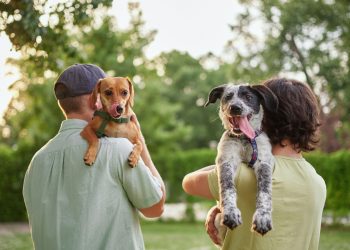 Αντίδοτο στην αύξηση των αλλεργιών η συγκατοίκηση με σκύλους και η ζωή στο ύπαιθρο.