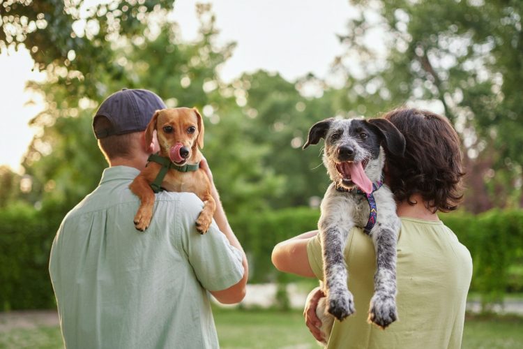 Αντίδοτο στην αύξηση των αλλεργιών η συγκατοίκηση με σκύλους και η ζωή στο ύπαιθρο.