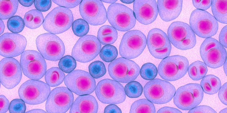 Ελληνική Πρωτοπορία στην διαχείριση και θεραπεία του πολλαπλού μυελώματος