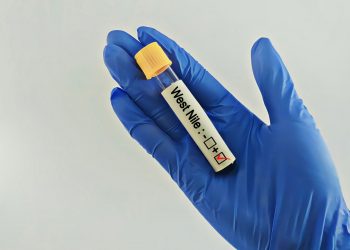 Επιδημικές εκρήξεις του ιού του Δυτικού Νείλου