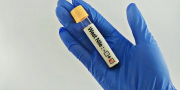 Επιδημικές εκρήξεις του ιού του Δυτικού Νείλου