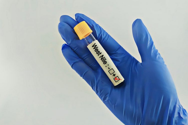 Επιδημικές εκρήξεις του ιού του Δυτικού Νείλου