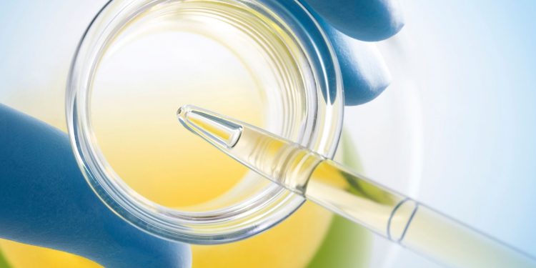 Η θεραπευτική δύναμη του ελαιόλαδου