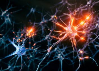 Πάρκινσον: Σκύλοι «οσμίζονται» τη νόσο πριν τα συμπτώματα