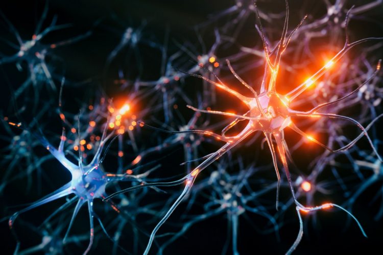 Πάρκινσον: Σκύλοι «οσμίζονται» τη νόσο πριν τα συμπτώματα