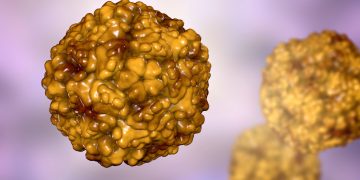 Όταν κανείς άλλος δεν ήθελε τη δουλειά, η Μαργκερίτ Φογκτ «σήκωσε τα μανίκια»