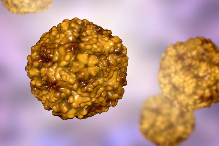 Όταν κανείς άλλος δεν ήθελε τη δουλειά, η Μαργκερίτ Φογκτ «σήκωσε τα μανίκια»